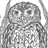 生徒作品 L.コミューン アート＆イラストレーション ラボラトリー